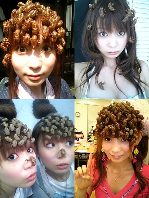 Japenese Girls With Cicada Shells