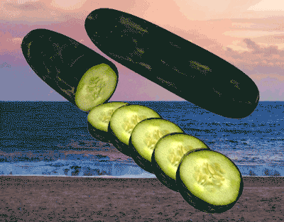 Ocean Cukes