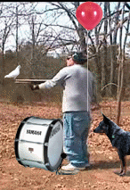 BirdShootDrumDogPantsBalloon