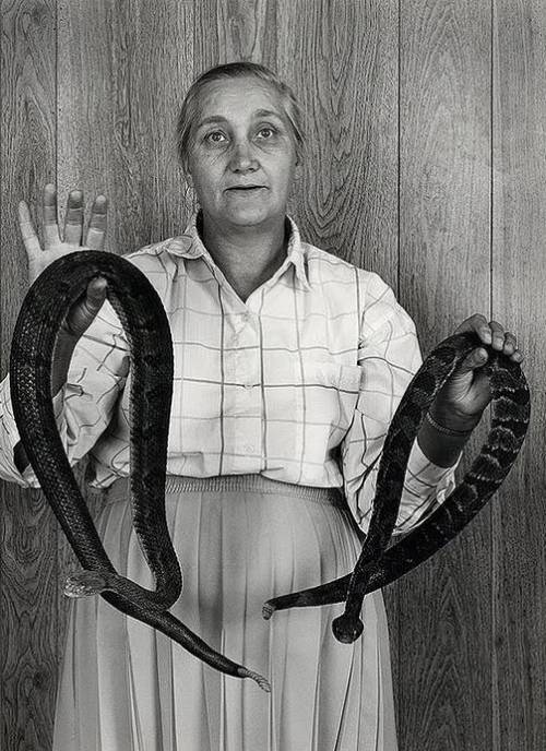 Snakes and Grandma 1