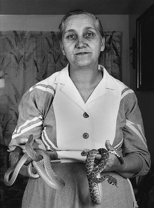 Snakes and Grandma 2