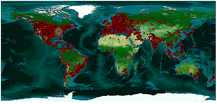 280412 Revolver Map Tacky Raccoons