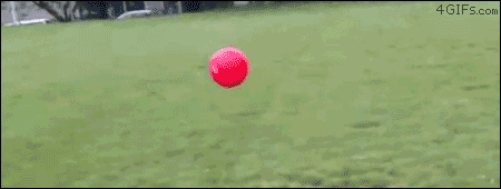 red-ball-dog-flip