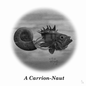 Carrion-Naut