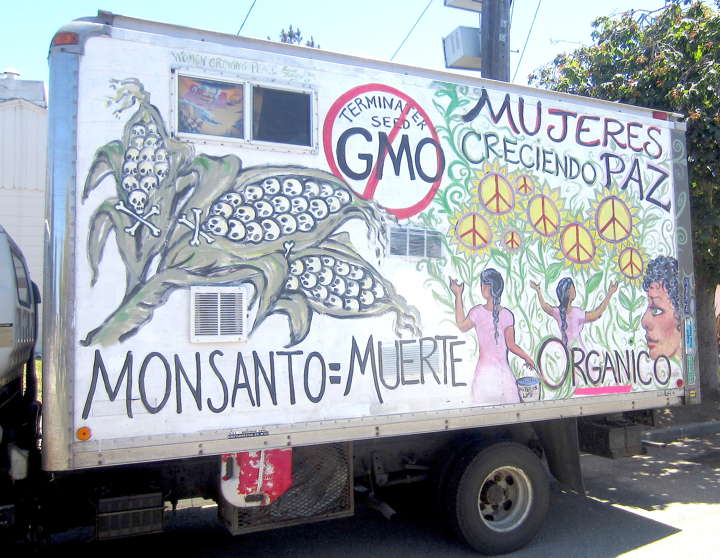 monsanto hybrid corn kills yeah right