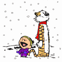 calvin-hobbes1
