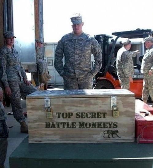 Top Secret Battle Monkeys Briefing