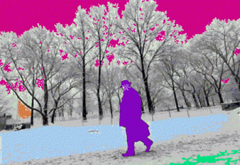 Walking In A Winter WTF