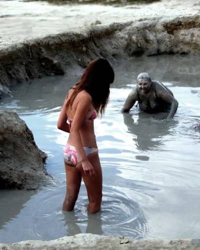 Indricotheria Stalking