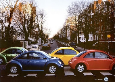 beetles