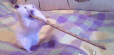 How To Blow A Pretzel