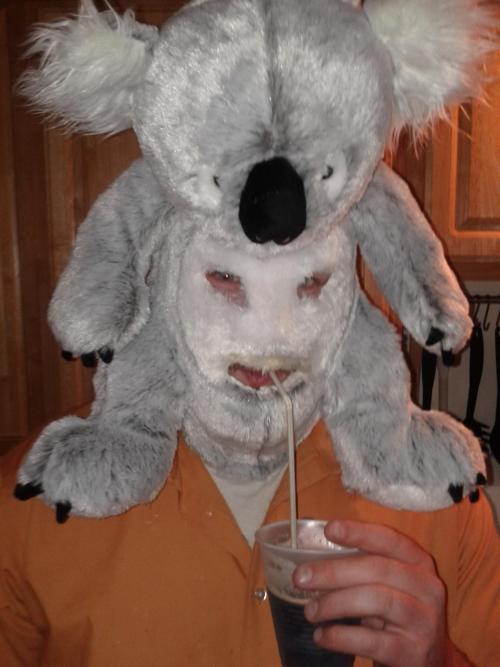Creepy Koala