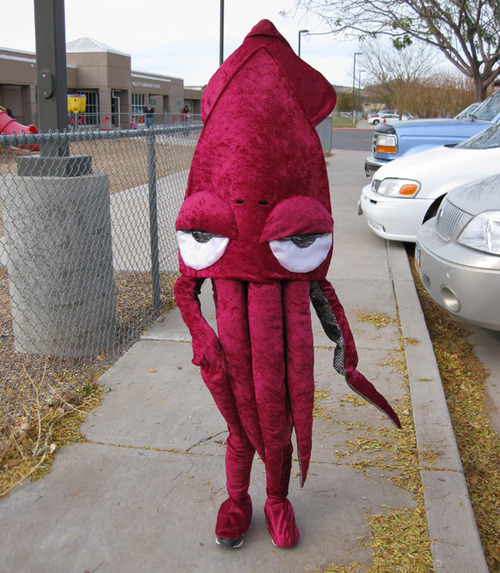 squid costume