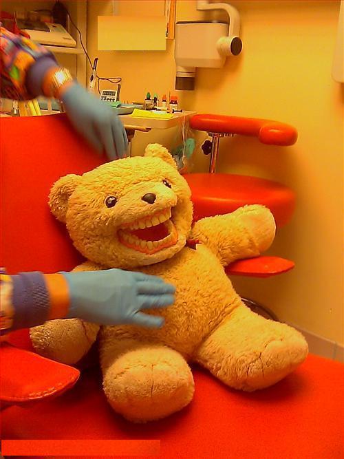 Teddy Dental