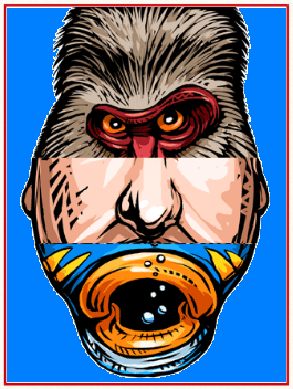 Chet Phillips Flip Faces