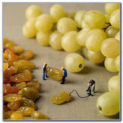 Making Grapes