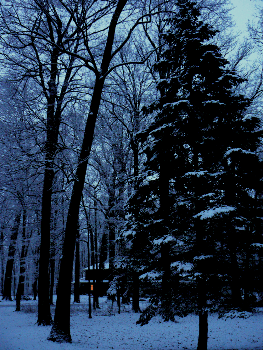 Winter in Northern Ohio