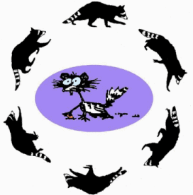 Tacky Raccoons Be Crawlin' 300