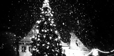 Christmas Tree BW