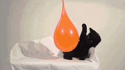 Cat Balloon