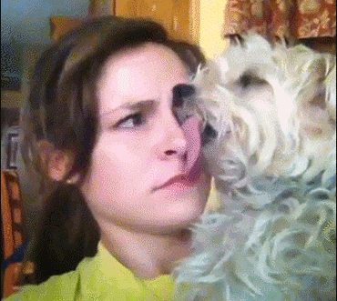 Dog Lick