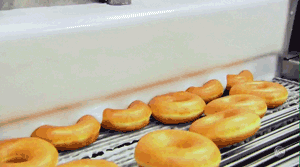 Donut Porn