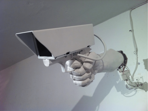 Big Brother Security Co.