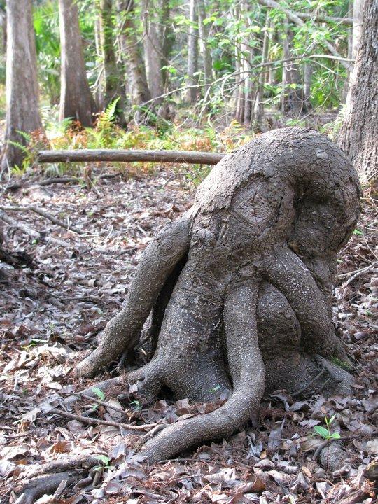 cthulu-stump
