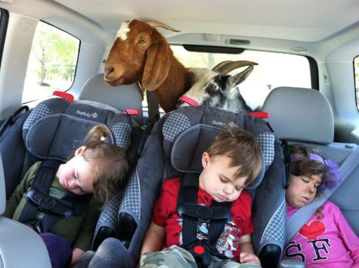 Nothing Much Happened Today 3