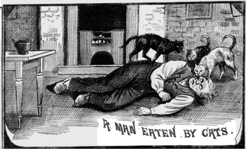 Man Eaten By Cats