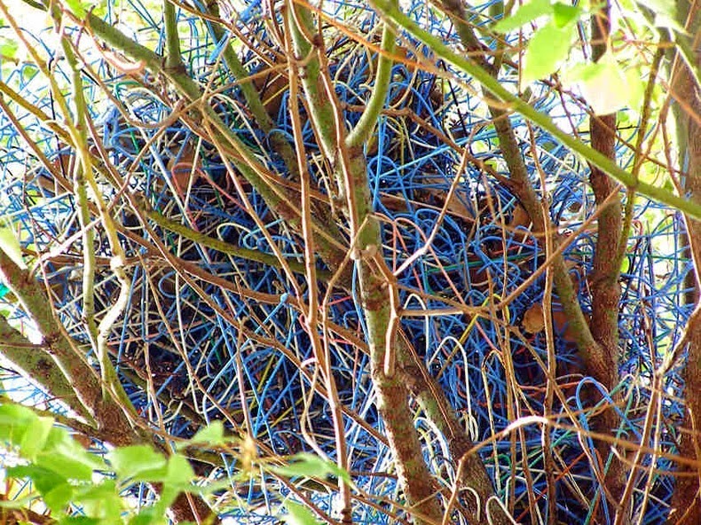 clothes hanger crows nest 3