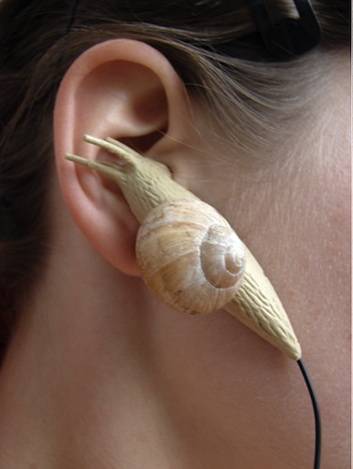 Ear Snails