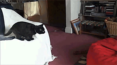 Black Cat Beanbag Splat
