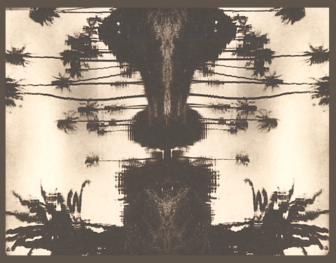 Hawaii Boogah Boogah