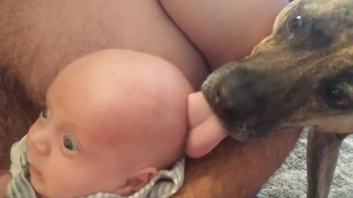 Too Many Things Wrong Here