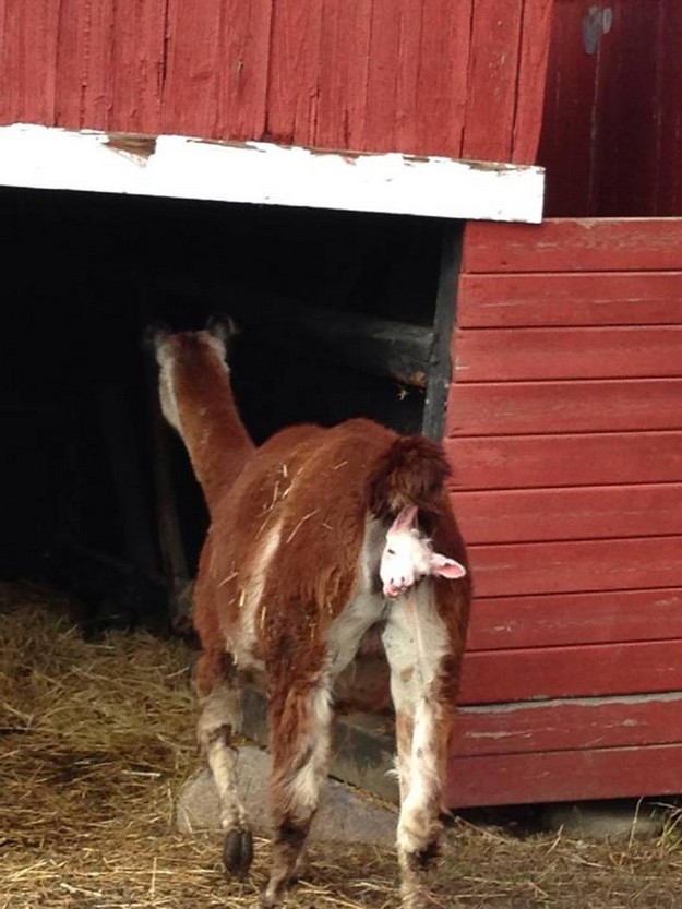 OH HI! I'll be out in a minute.