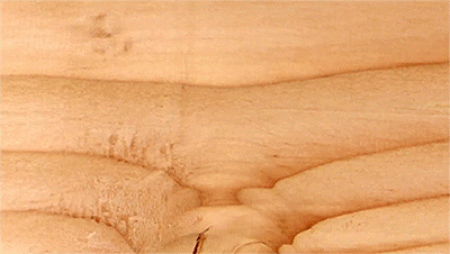 Woodcut in millimeters