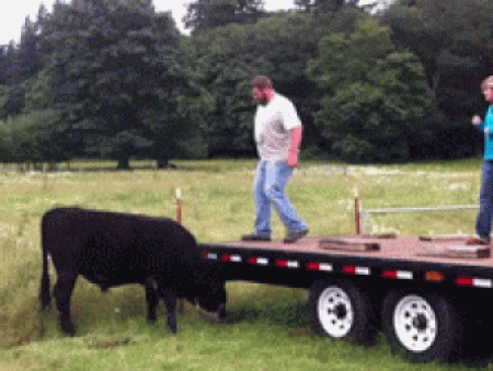 The-shortest-rodeo-ever