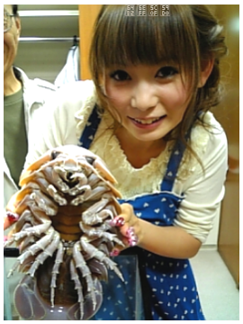 Giant Isopod Girl