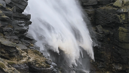 Kinder Downfall 2