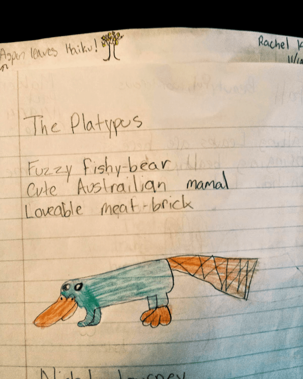 Platypus Haiku