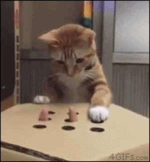 Kitty Whack-a-Mole