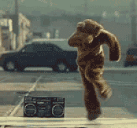 Break Dancing Bear