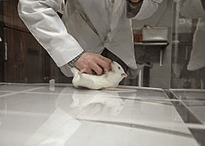 Flat Bed Scanner Cleaner