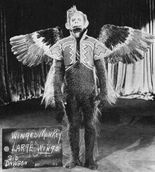 Winged Monkey Large Wings