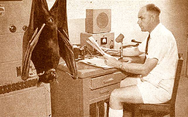 Nothing Much Happened Today 12