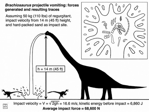 Physics and Dinosaurs