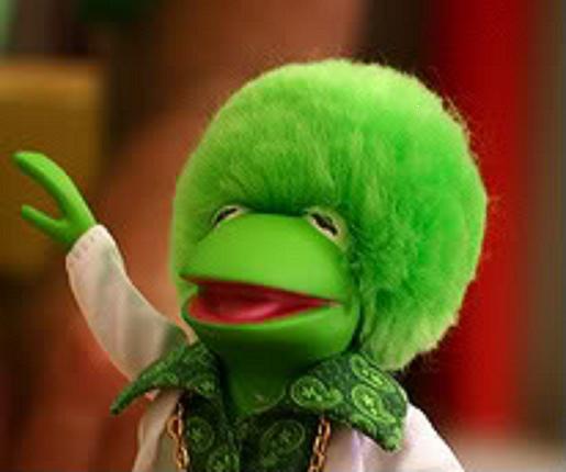 Kermit Afro