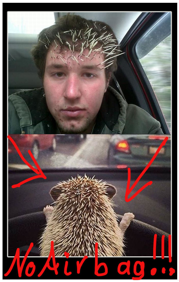Riding With The Hedgehog