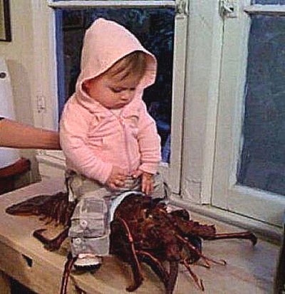 LobsterGirl